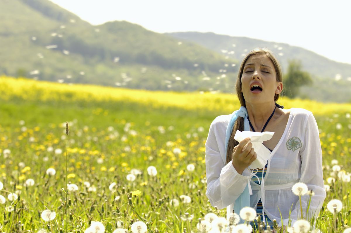 Allergiezeit Celle: Tipps gegen Heuschnupfen und Pollen